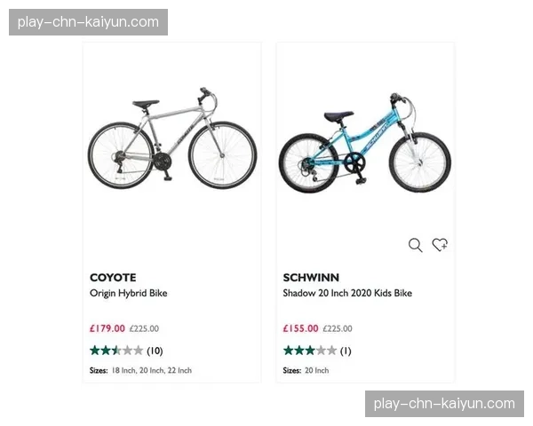 山地自行车运动消费市场分析:整车、头盔、骑行鞋等核心装备销量增长趋势